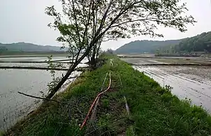 Between rice fields in Yacheon-ri, Hwaseong37°14′49″N 126°55′14″E﻿ / ﻿37.24694°N 126.92056°E﻿ / 37.24694; 126.92056