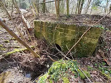 A bridge allows Northlands Gill to flow into Upper Rapeland Wood