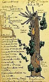 Camouflaged iron observation tree, Vermezeele, 1916 by Andre Mare