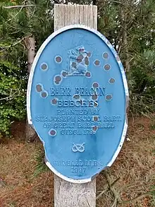 Barr Beacon Beeches planted by Sir Joseph Scott BART, of Great Barr Hall circa 1799 - Walsall MBC - 1997