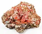 Bright, cherry-red gypsum crystals 2.5&nbsp;cm in height colored by rich inclusions of the rare mineral botryogen