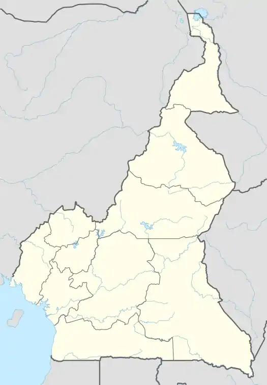 Bamkin is located in Cameroon