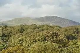 Nearby woodland and mountain.