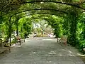 The Green Archway at the San Antonio Botanical Garden facing the Rose Garden in 2021.