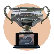 Illustration of the trophy of the Belgian Supercup.