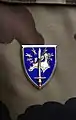 Chest badge.