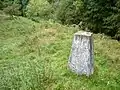 Little Doward trig point
