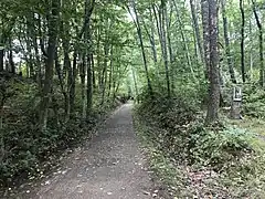 N = Northampton 49 miles (79&nbsp;km) marker. The opposite side will read B 55. Rutland