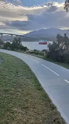 She-oaks thrive along Rose Bay Foreshore walk. Pictured here one summer evening with the Spirit of Hobart in the backdrop.