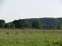 Valley of the Khopyor River. 2015