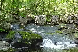 Abandoned railroad crossing