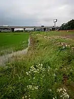 Near the Seohaean Expressway37°15′30″N 126°53′17″E / 37.25833°N 126.88806°E / 37.25833; 126.88806