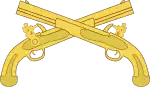 Branch Insignia
