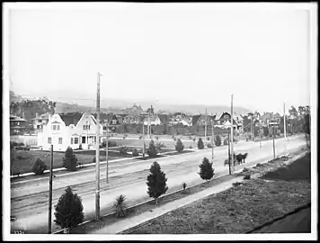 From a rooftop at Dale Street (or Orange Street?), c. 1905