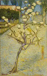 Blossoming Pear Tree, March–April 1888Van Gogh Museum, (F405)