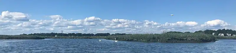 Wide view of swans at high tide in Charles E. Wheeler WMA