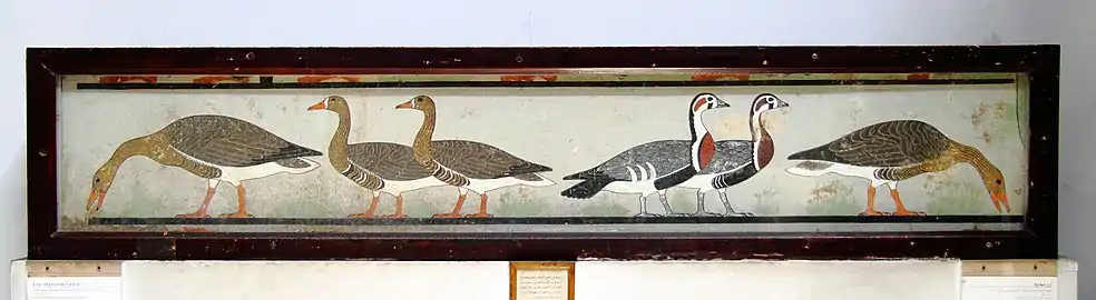 Fresque représentant les six oies, trouvée dans le mastaba de Néfermaât - Musée égyptien du Caire