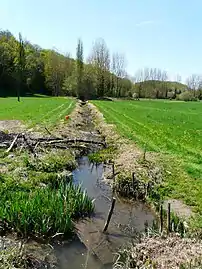L'Énéa en amont du moulin de la Tour.