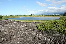 Image illustrative de l’article Étang de Bois Rouge