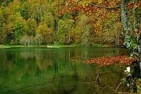 Image illustrative de l’article Lac de Bethmale