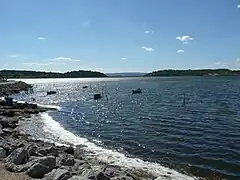 Étang de Gruissan (2010).