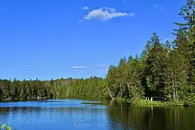 Image illustrative de l’article Étang de la Gruère