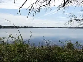 Image illustrative de l’article Étang des Landes (ZNIEFF)