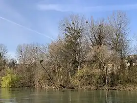 Image illustrative de l’article Île des Gords