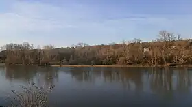 L'île des Buteaux depuis la rive gauche de la Loire.