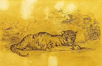Tigre menteur, dessin au stylo et encre sur papier, 19&nbsp;×&nbsp;29&nbsp;cm, Athènes, Collection du Parlement grec.