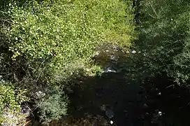 Bošava près du village de Dolna Bošava