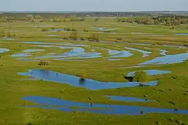 la réserve de Miropilskyi, classée,