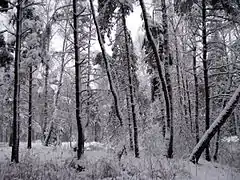 District de Kastsioukovitchy, voblast de Moguilev (Biélorussie), 2008