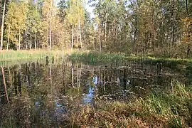 la plaine inondable,