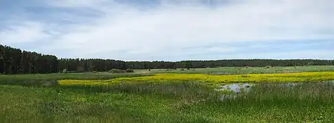 La réserve du captage de Kremin classé,