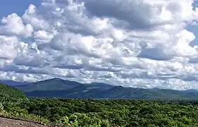Taïga du Sikhote-Aline dans le raïon.