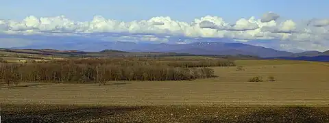 Champ dans le raïon.