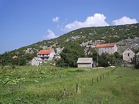 Ozrinići