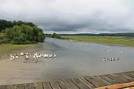 La réserve de Bakiriskiy réserve naturelle.