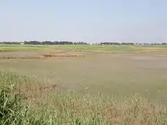 Liman asséché de Krivokoskiy.