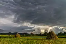 Photographie d'un champ avec des bottes de foin et des collines au fond.
