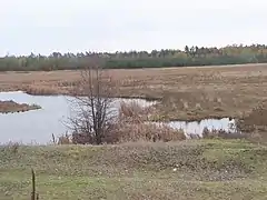 La réserve de Yamnyi.