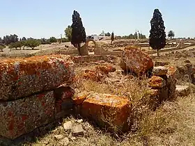 Image illustrative de l’article Banasa