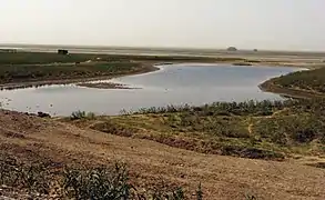 paysage et étang dans le comté.