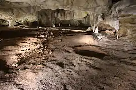 04&nbsp;: Ossements et bauge d’ours.