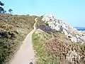 Le GR 34 entre Rospico et Port-Manec'h.