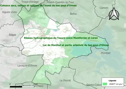 Carte des ZNIEFF de type 1 sur la commune.