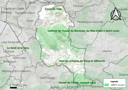 Carte des ZNIEFF de type 1 sur la commune.