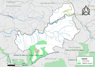 Carte de la ZNIEFF de type 1 de la commune.