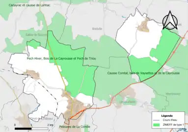 Carte des ZNIEFF de type 1 de la commune.